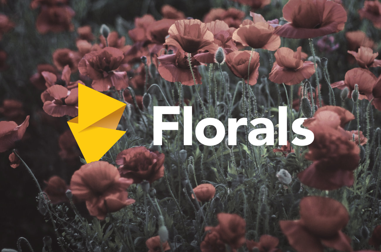 Logo blandt blomster